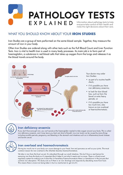 Iron studies